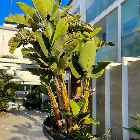 Poolside Paradise By Holidays Fuerteventura Appartamento