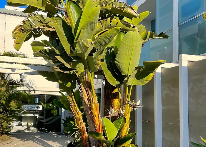 Poolside Paradise By Holidays Fuerteventura Appartamento